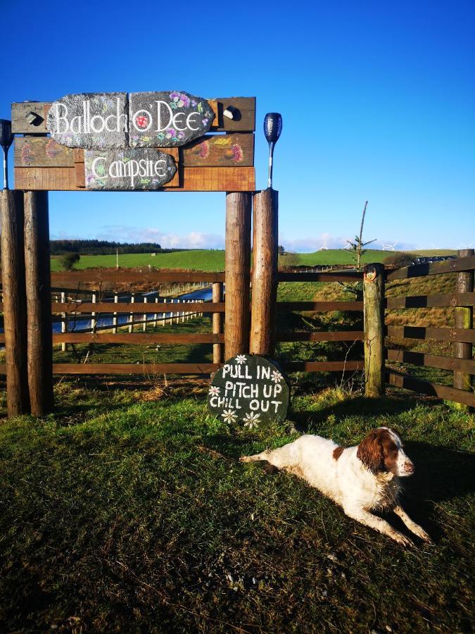 Bluebell Off-Grid Van Newton Stewart Zewnętrze zdjęcie